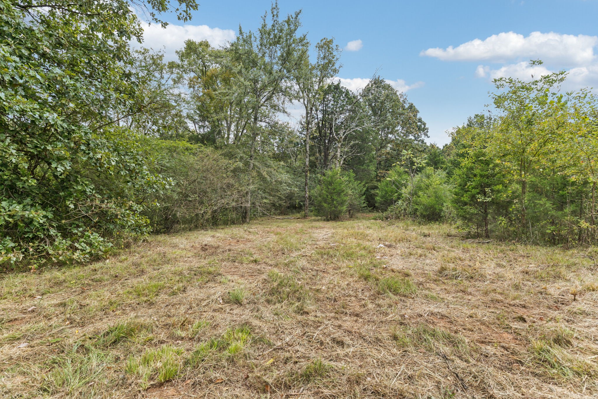 4011 Central Valley Road Murfreesboro, TN 37129 - Photo 21 of 43 a view of a yard with a tree