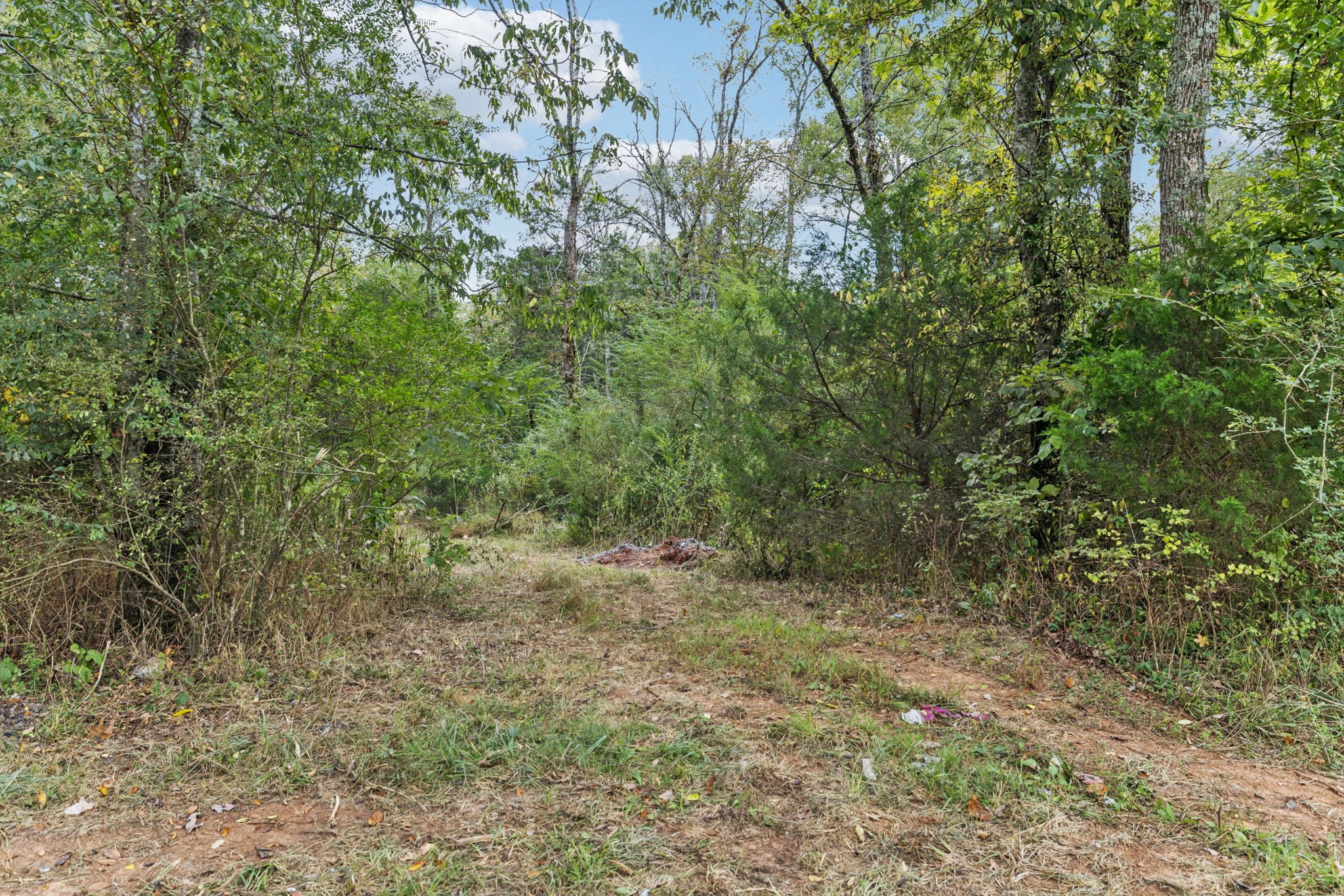 4011 Central Valley Road Murfreesboro, TN 37129 - Photo 22 of 43 a view of a yard with a tree