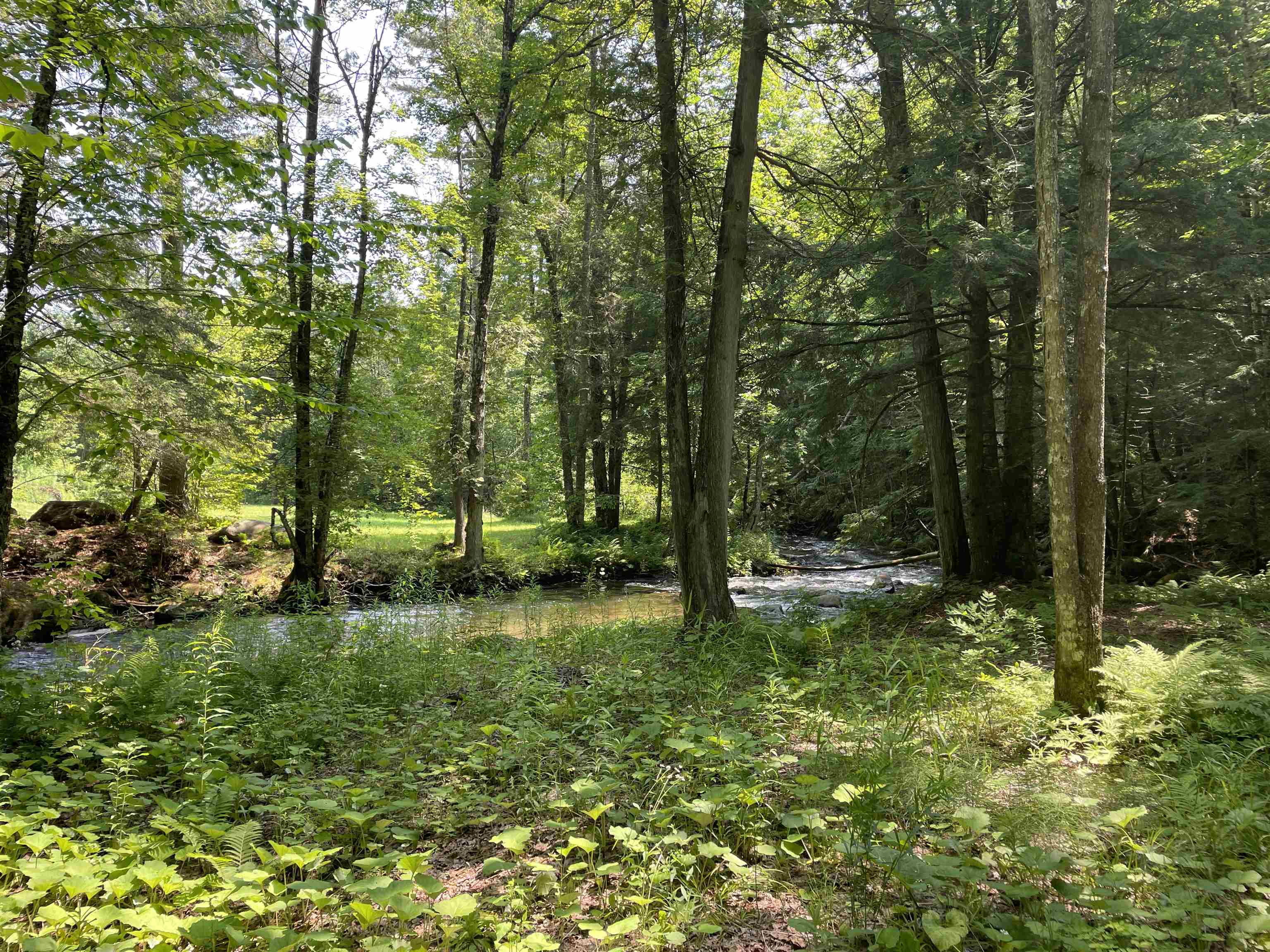 200 Roy Mountain Road Barnet, VT 05821 - Photo 30 of 40