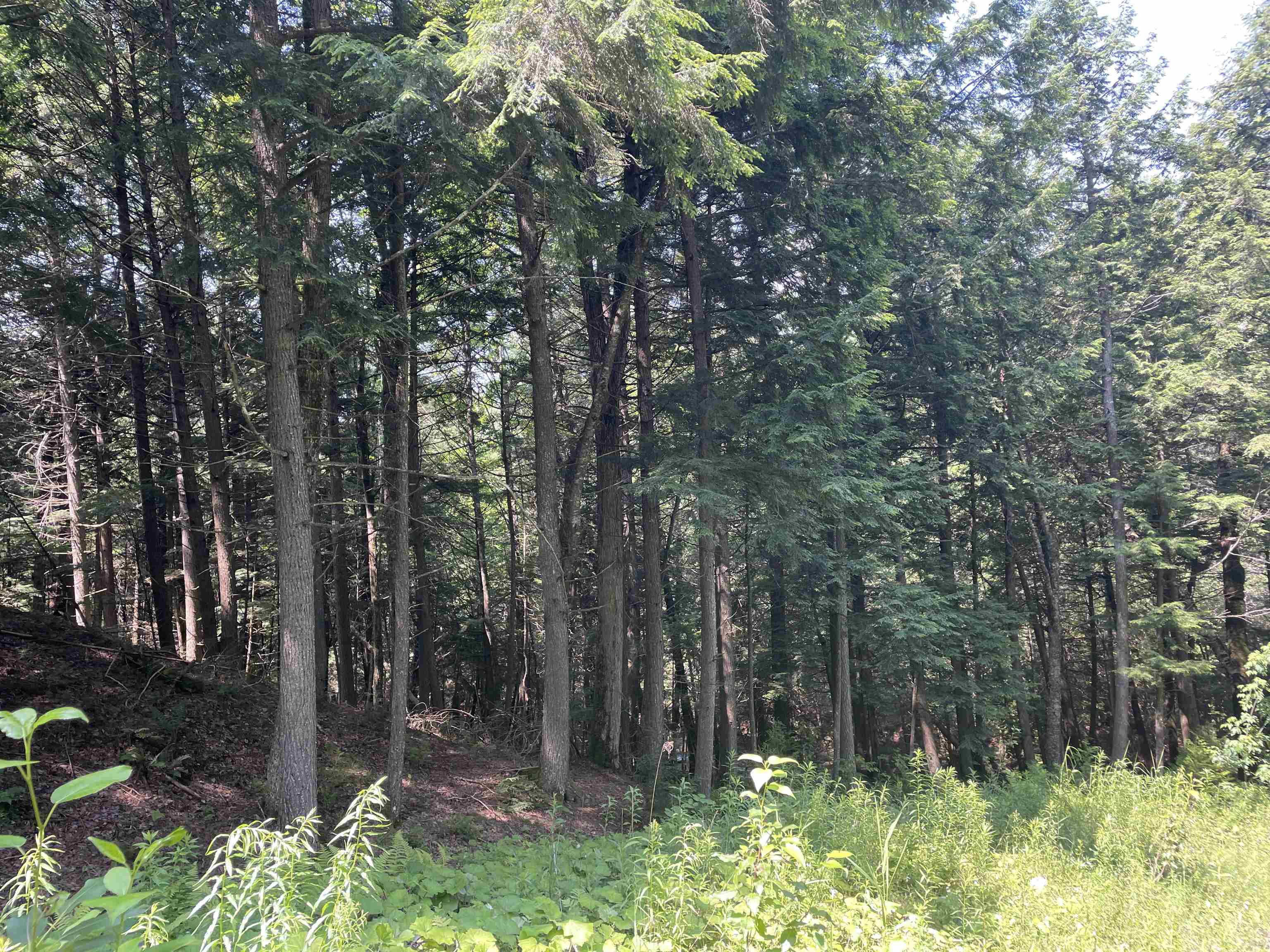 200 Roy Mountain Road Barnet, VT 05821 - Photo 31 of 40