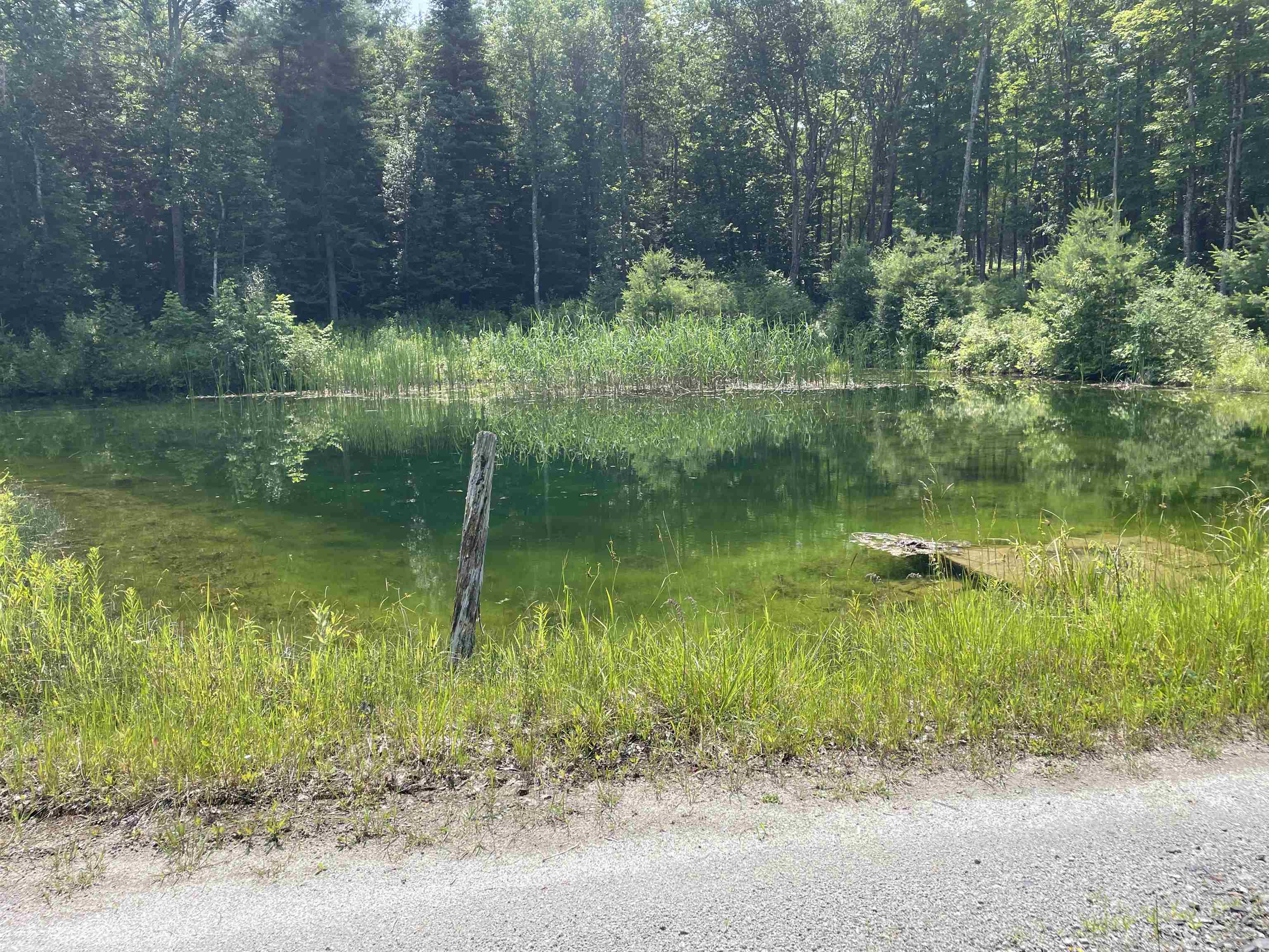 200 Roy Mountain Road Barnet, VT 05821 - Photo 32 of 40