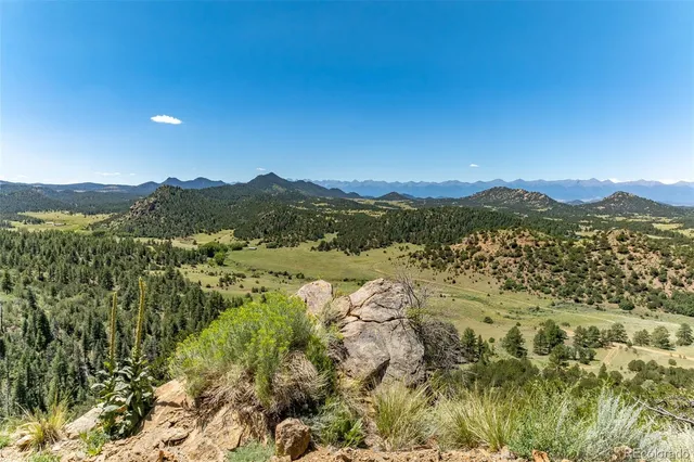 a view of a large yard with lots of bushes