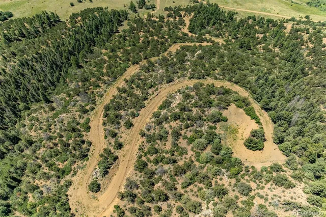 a close up of a plant in a bathroom