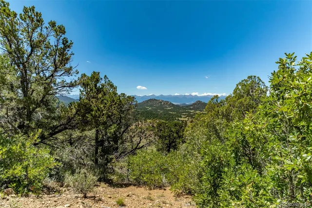 a view of a flower garden