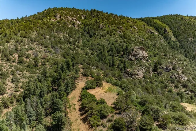 a view of a big yard with lots of bushes
