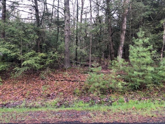 Crawford Road Barryville, NY 12528 - Photo 2 of 8 a view of forest