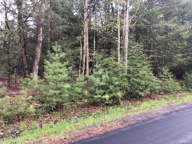 Crawford Road Barryville, NY 12528 - Photo 3 of 8 a view of a forest with trees