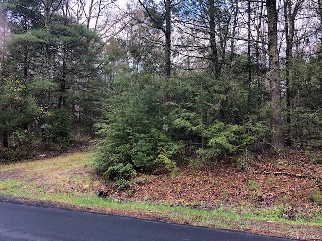 Crawford Road Barryville, NY 12528 - Photo 4 of 8 a view of a yard with a tree
