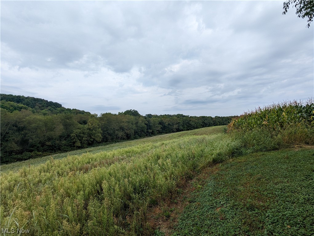 6529 Roswell Road Southwest Sherrodsville, OH 44675 - Photo 11 of 35 View of local wilderness