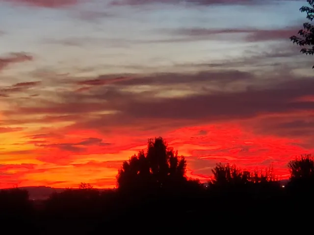 $550,000 | 1025 North Olson Hill Court, Medical Lake, WA 99022