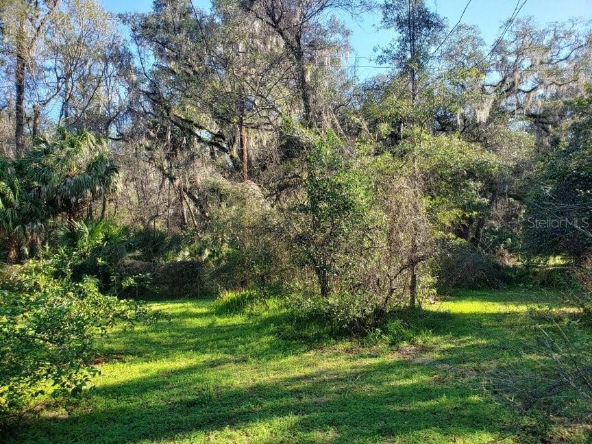 2929 Southwest 2 Court Gainesville, FL 32601 - Photo 2 of 8