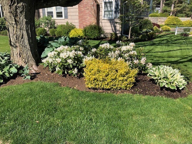 6 Enslin Road Needham, MA 02492 - Photo 25 of 31