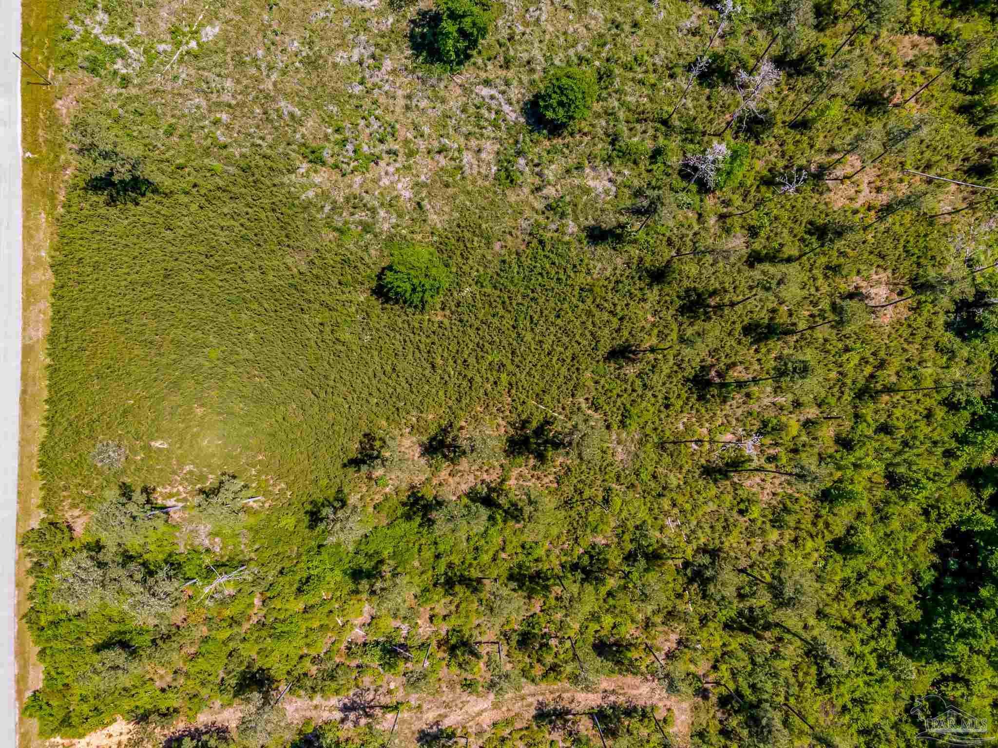 0 Allen Road Atmore, AL 36502 - Photo 13 of 29 a view of a lake view