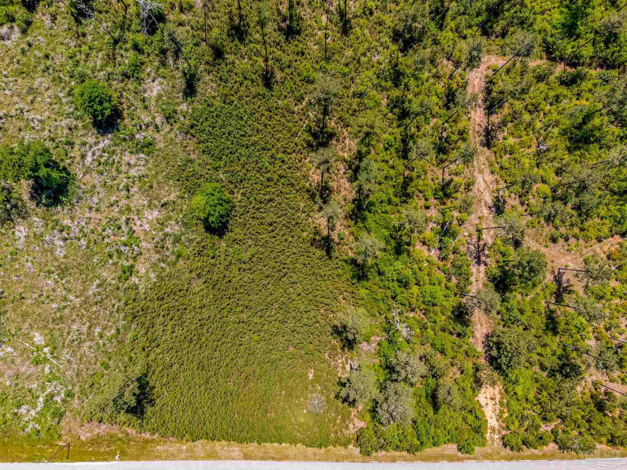 0 Allen Road Atmore, AL 36502 - Photo 14 of 29 a view of a yard