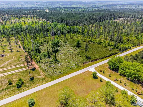 a view of a yard with plants