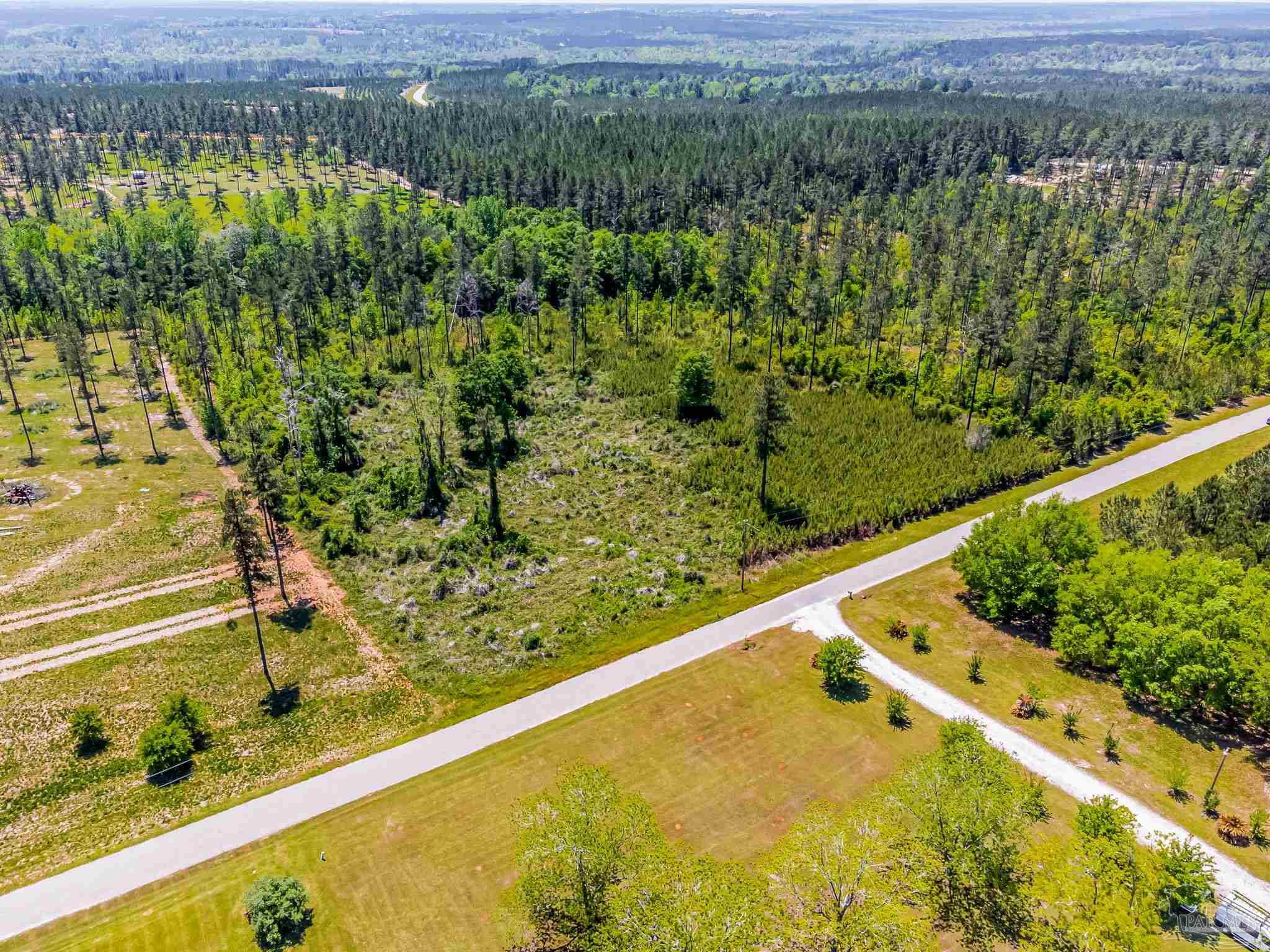 0 Allen Road Atmore, AL 36502 - Photo 16 of 29 a view of a lush green forest with a lake and mountain view