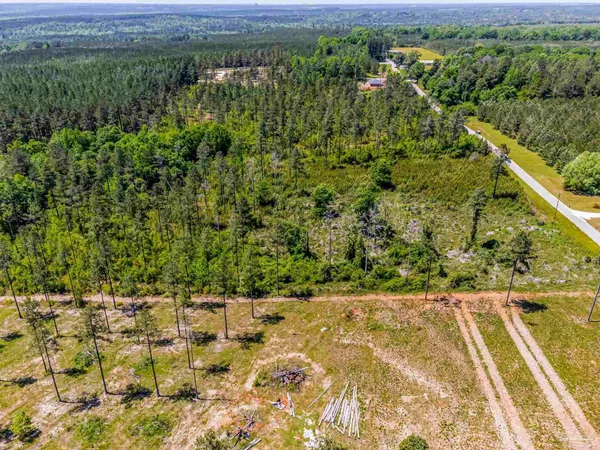 a view of a big yard with lots of bushes