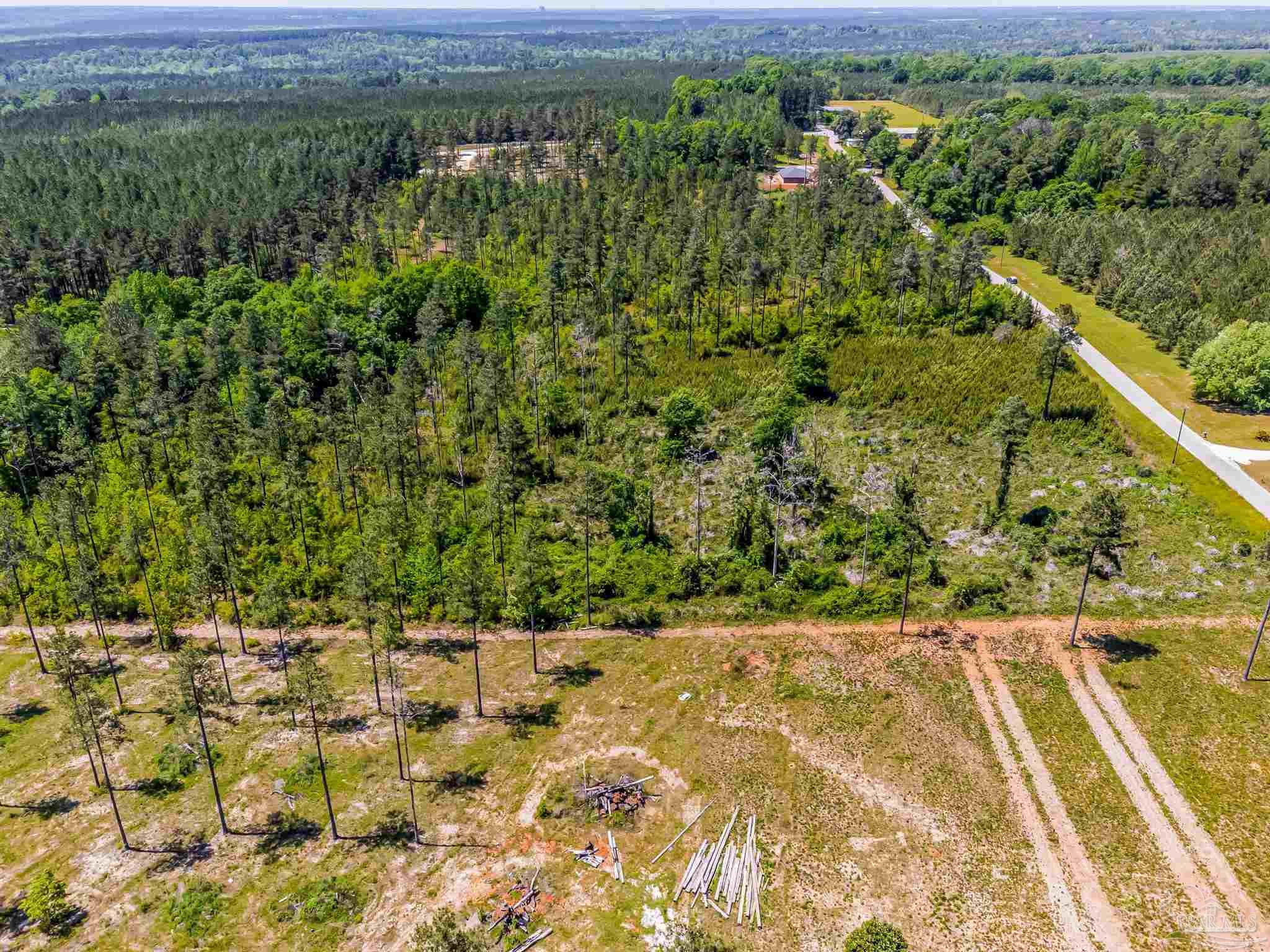 0 Allen Road Atmore, AL 36502 - Photo 17 of 29 a view of a yard with plants