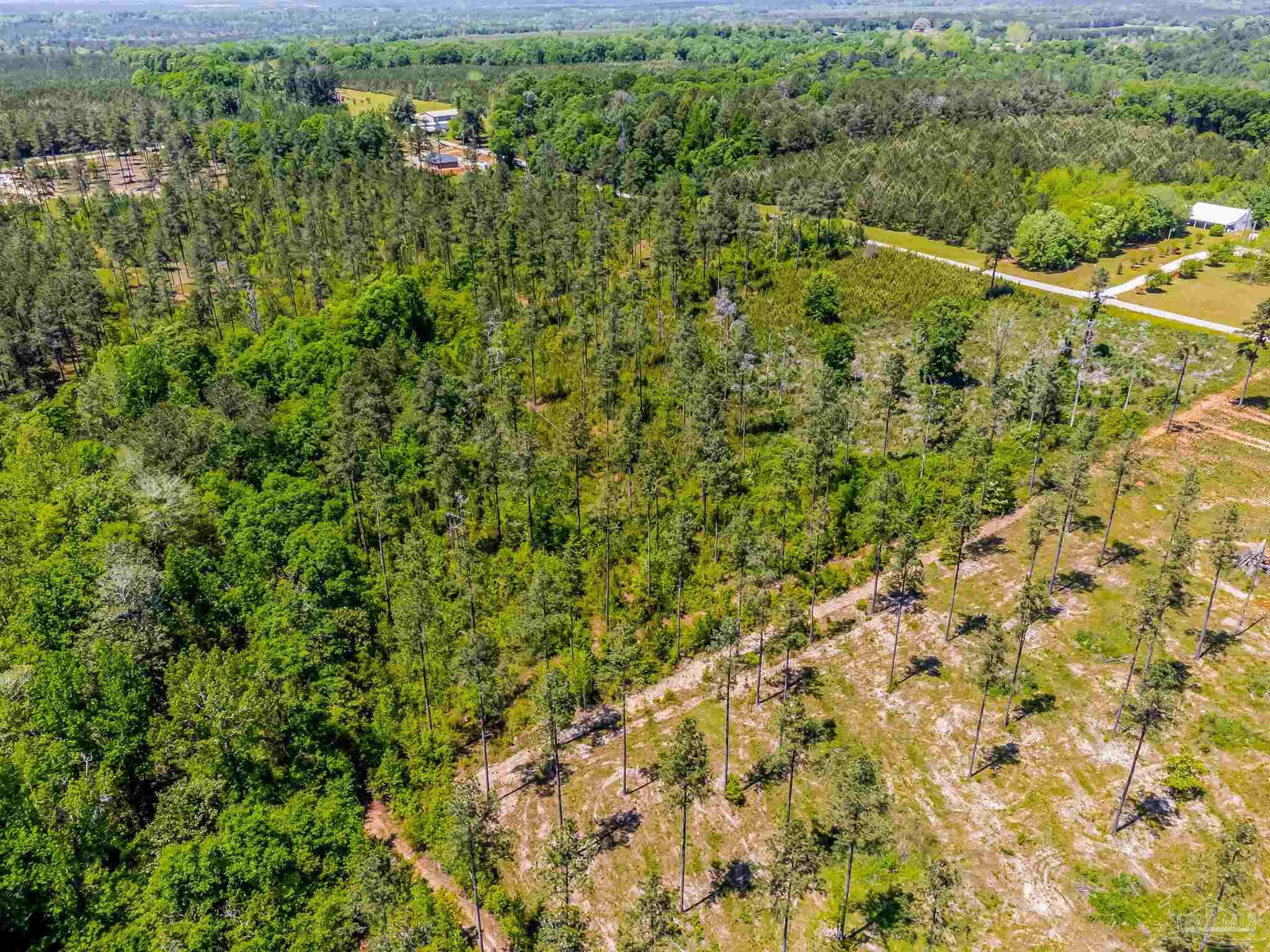 0 Allen Road Atmore, AL 36502 - Photo 18 of 29 a view of a big yard with lots of bushes