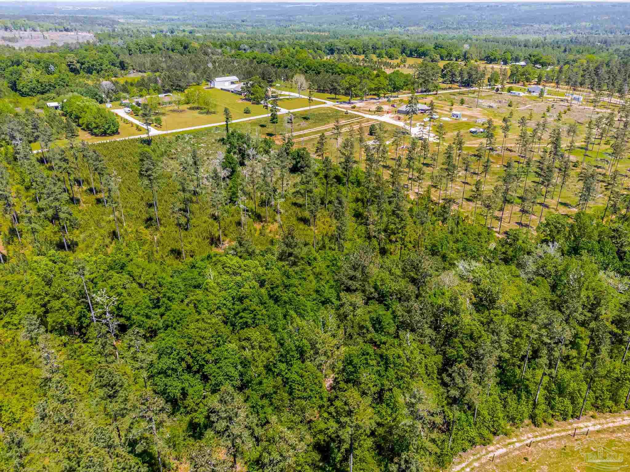 0 Allen Road Atmore, AL 36502 - Photo 21 of 29 a view of a yard with an outdoor space
