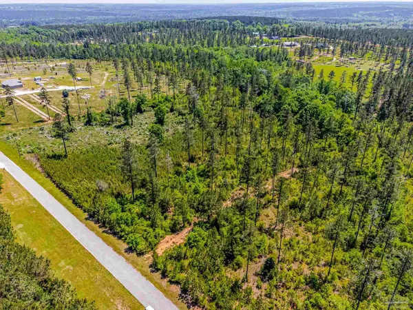 a view of a lake with a city