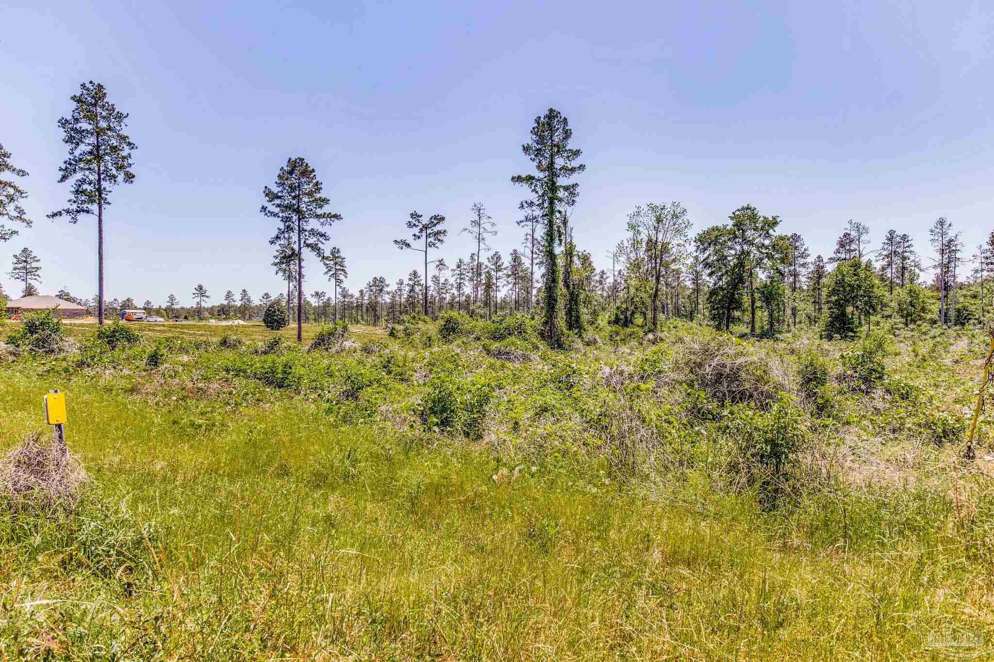 0 Allen Road Atmore, AL 36502 - Photo 26 of 29 a view of a town with trees in the background