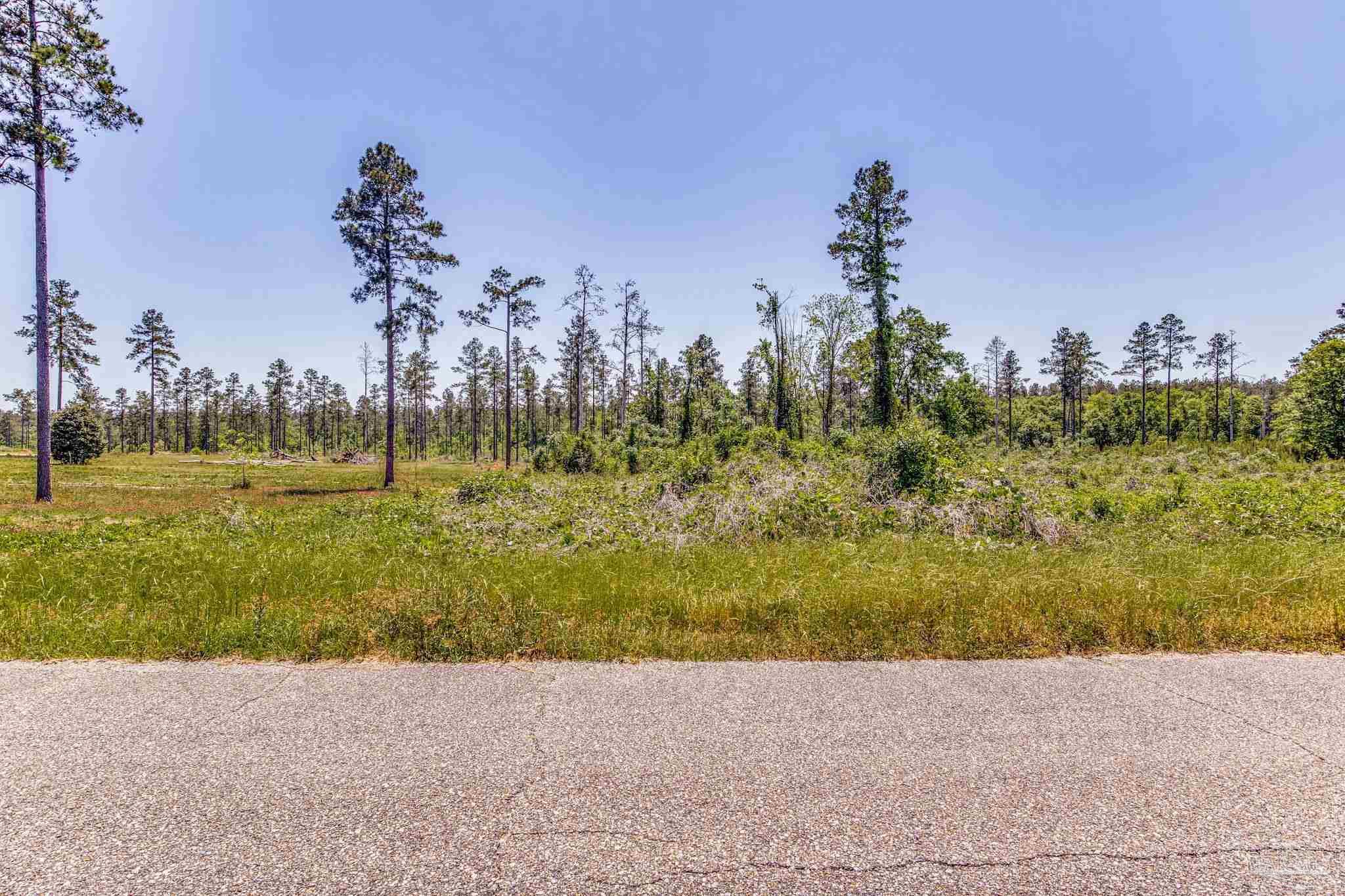 0 Allen Road Atmore, AL 36502 - Photo 28 of 29 a view of a road with a building in the background