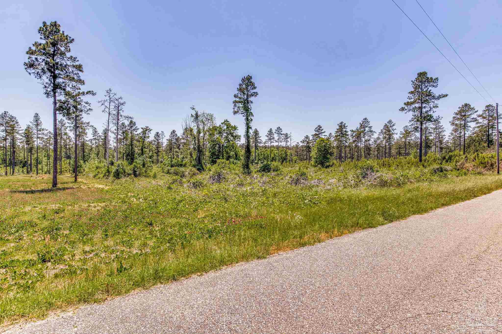 0 Allen Road Atmore, AL 36502 - Photo 29 of 29 a view of a yard with palm trees