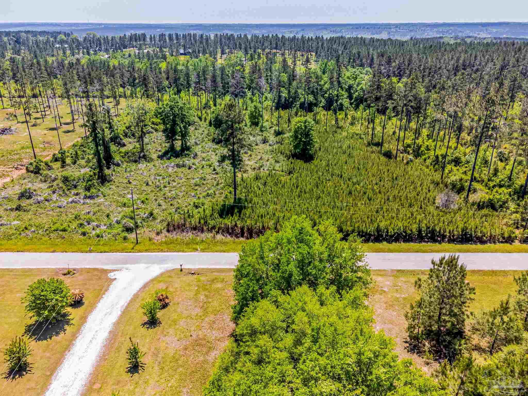 0 Allen Road Atmore, AL 36502 - Photo 5 of 29 a view of a garden with an outdoor space
