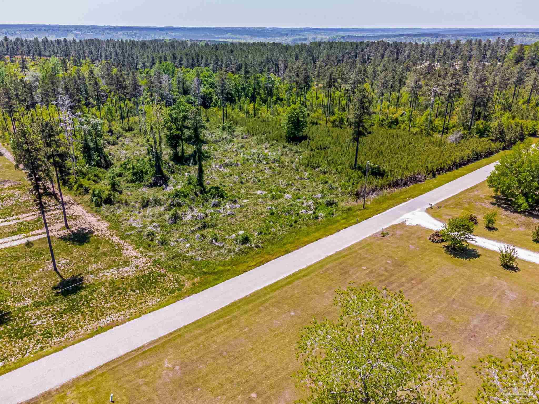 0 Allen Road Atmore, AL 36502 - Photo 6 of 29 a view of a forest