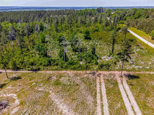 a view of a yard with an outdoor space