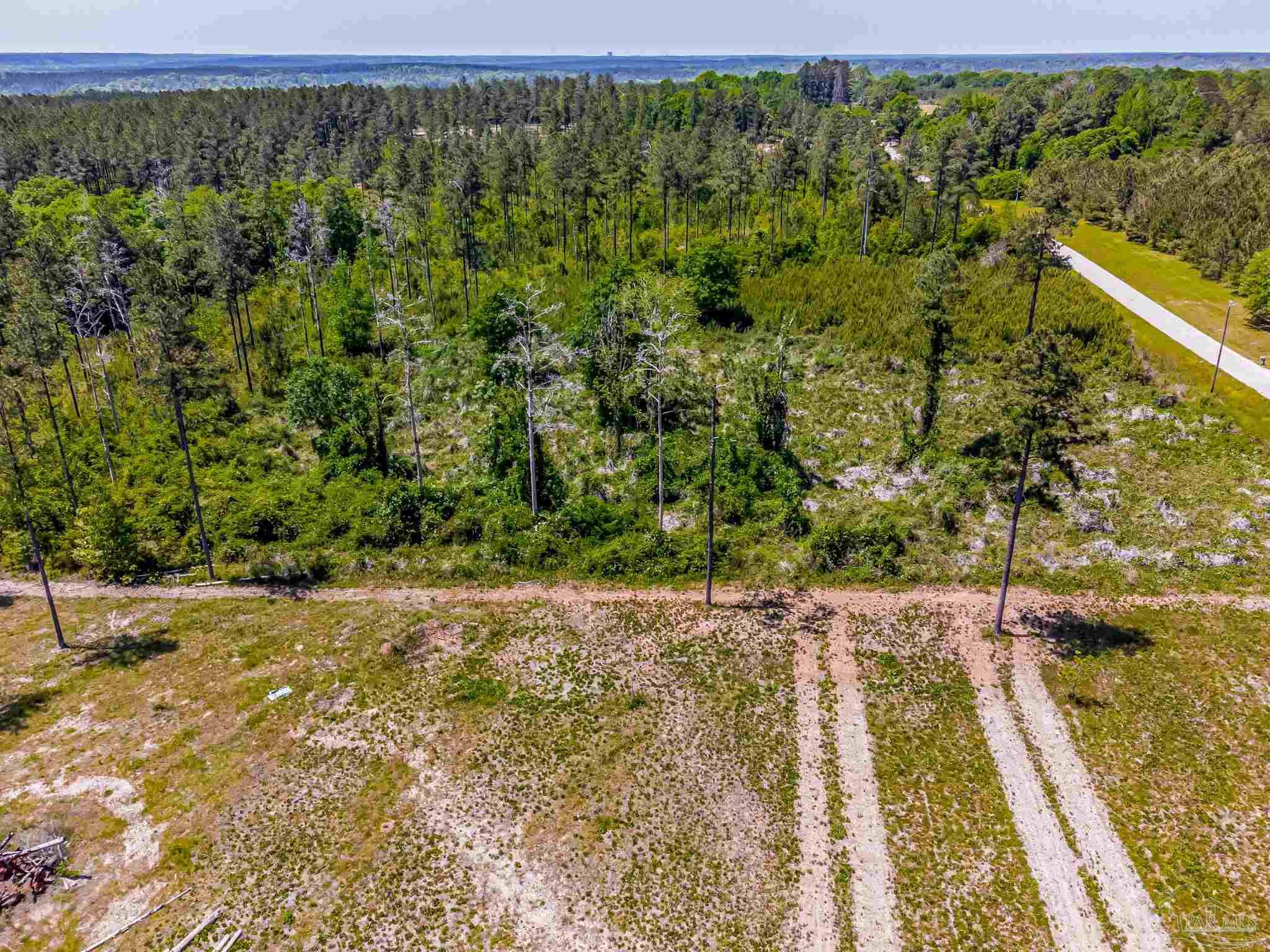 0 Allen Road Atmore, AL 36502 - Photo 7 of 29 a view of a yard with an outdoor space