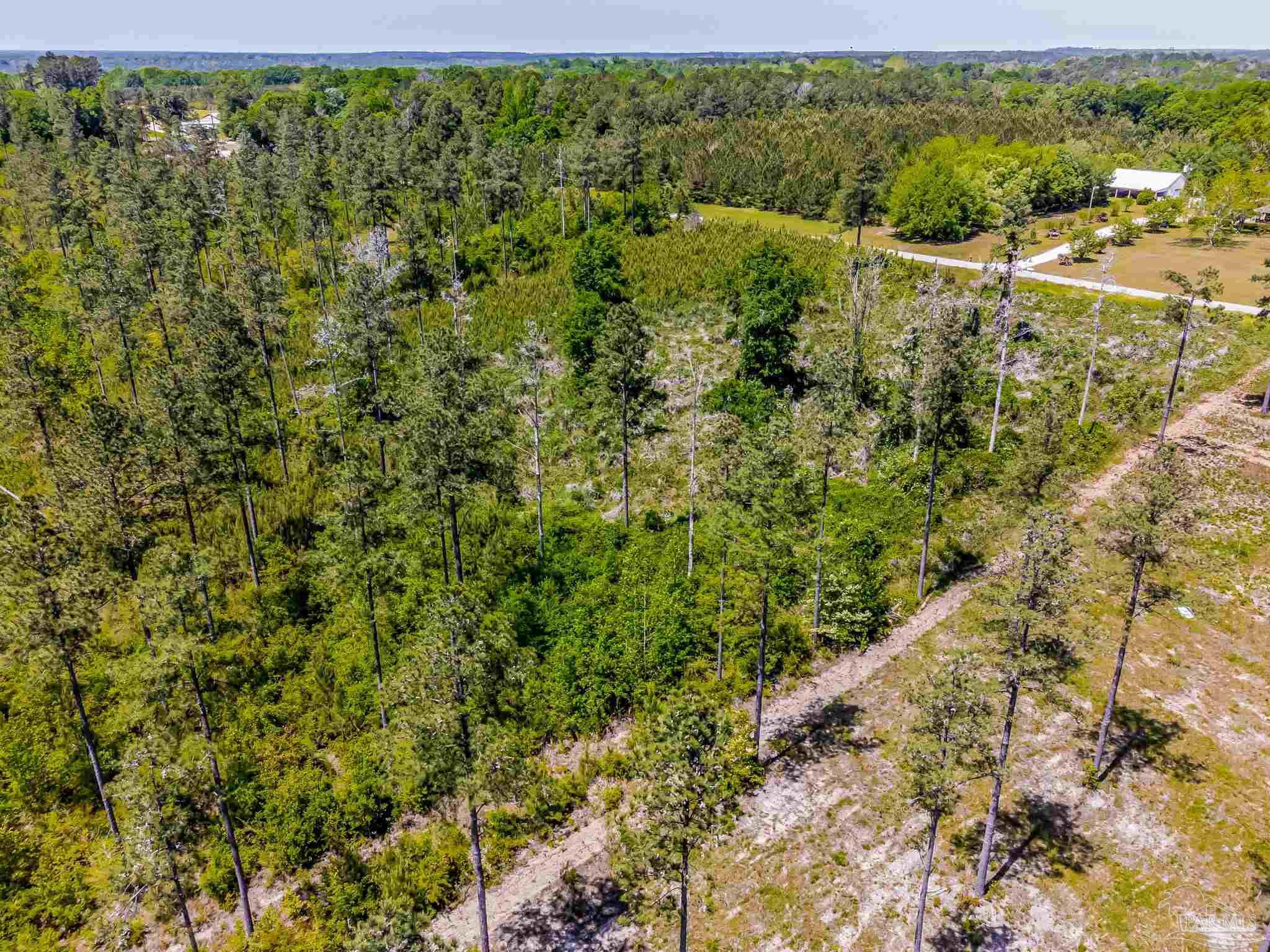 0 Allen Road Atmore, AL 36502 - Photo 8 of 29 a view of a green field with lots of bushes