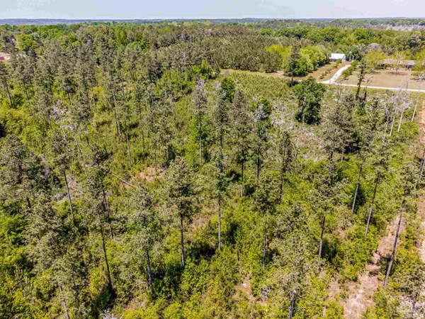 a view of a green field