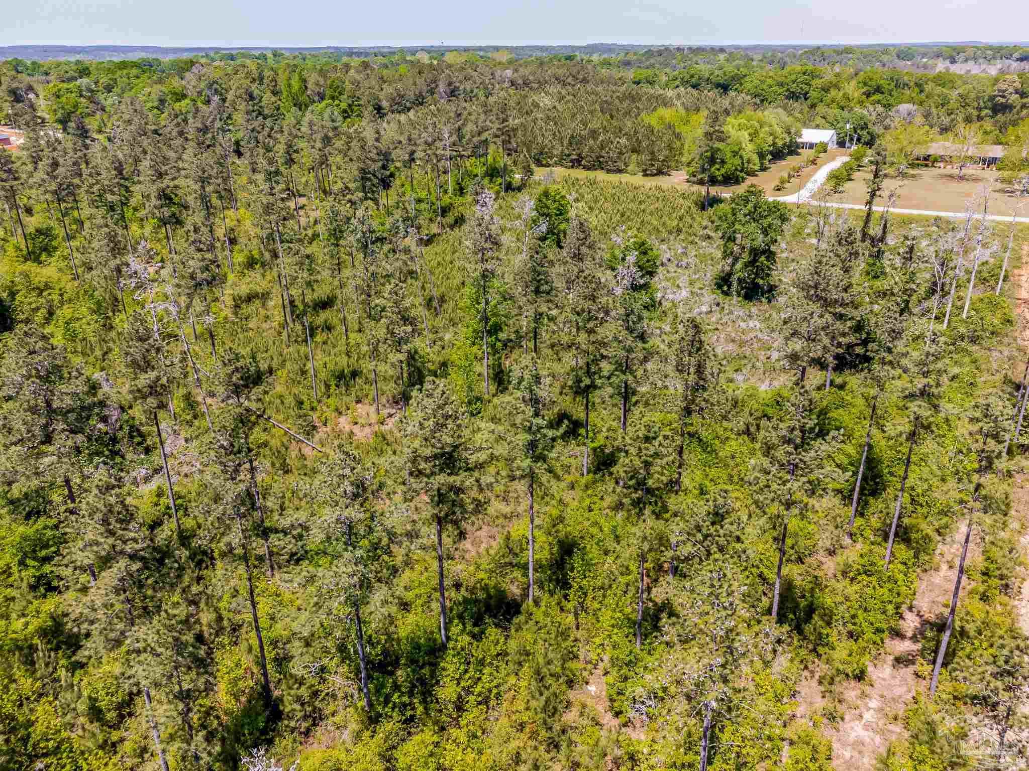 0 Allen Road Atmore, AL 36502 - Photo 9 of 29 a view of a green field