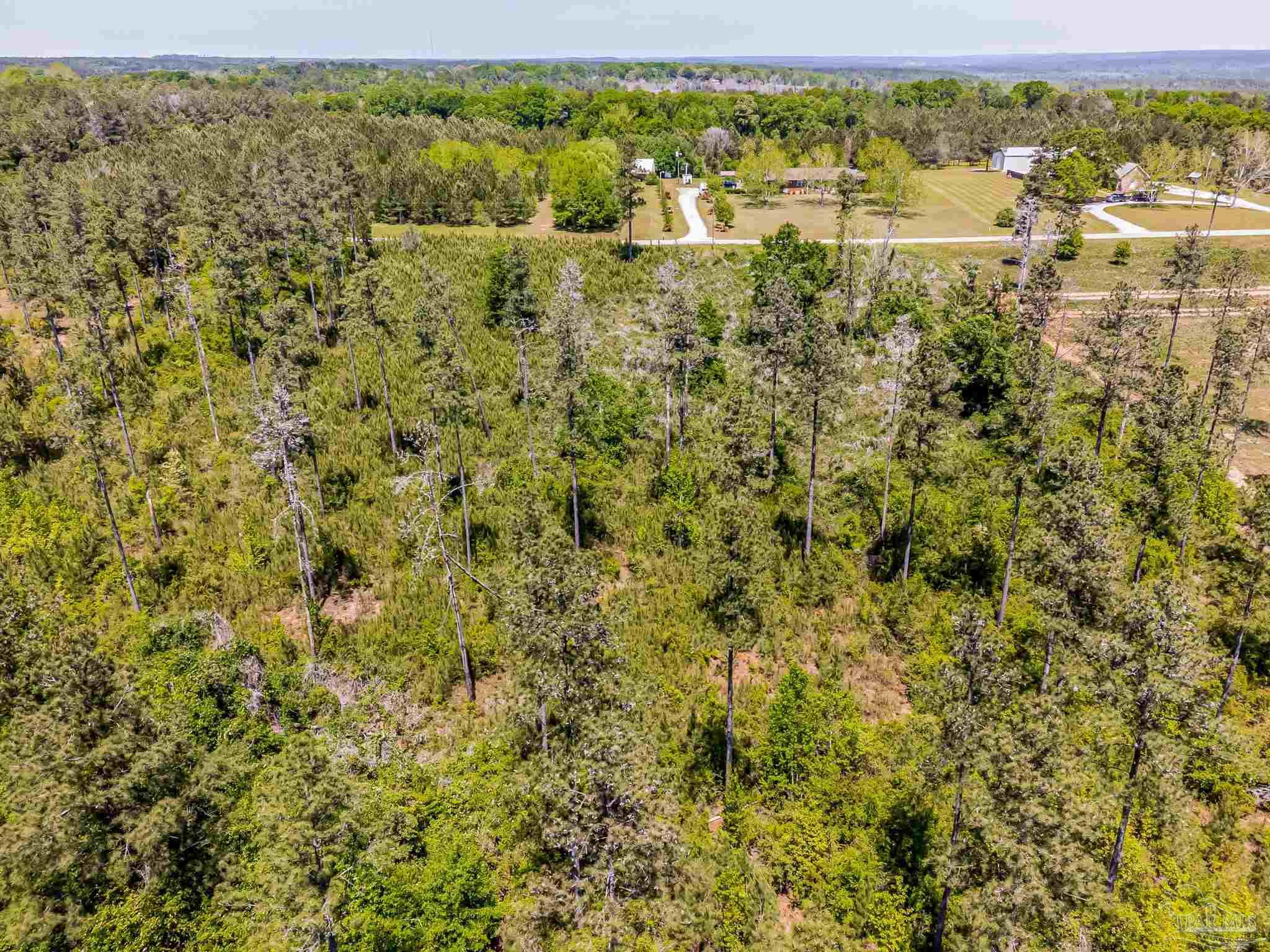 0 Allen Road Atmore, AL 36502 - Photo 10 of 29 a view of a green field