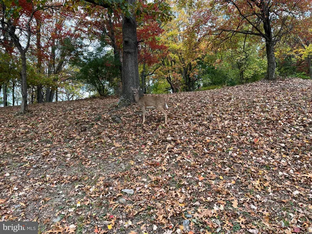 $749,000 | 1440 Farmington Avenue, Pottstown, PA 19464