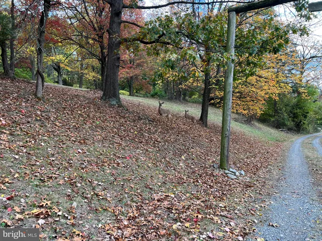 $749,000 | 1440 Farmington Avenue, Pottstown, PA 19464