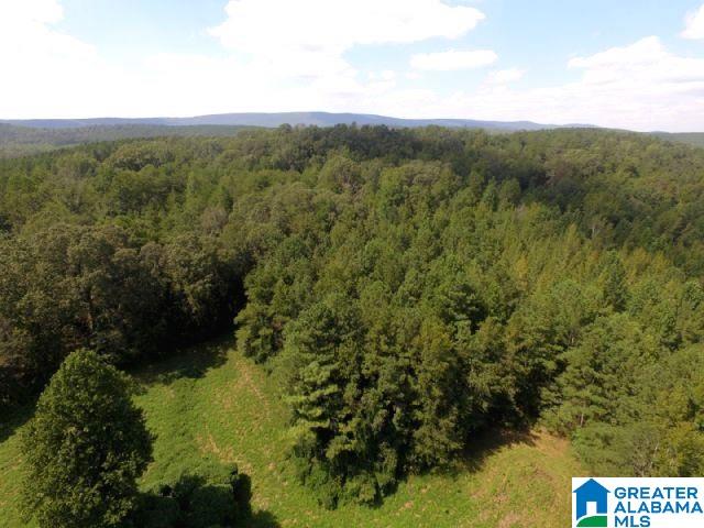 0 State Lake Road, Unit 31 ACRES Lineville, AL 36266 - Photo 9 of 15