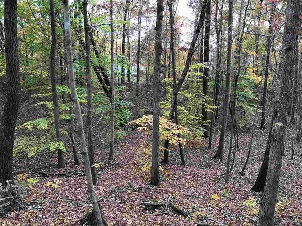 a view of outdoor space