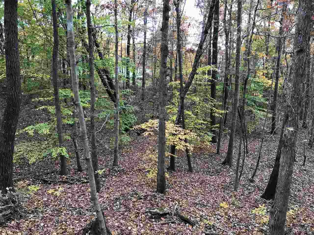 a view of outdoor space