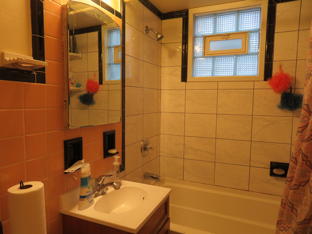 2040 Carter Street Racine, WI 53402 - Photo 12 of 19 a bathroom with a sink shower and a mirror