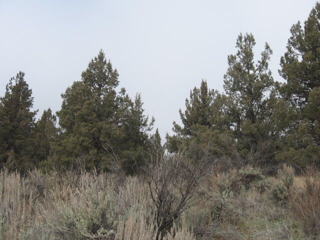 Drews Road Chiloquin, OR 97624 - Photo 5 of 20 5