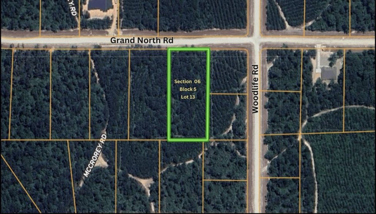 11818 Grand N Road Willis, TX 77378 - Photo 3 of 20 Gallery Image 3