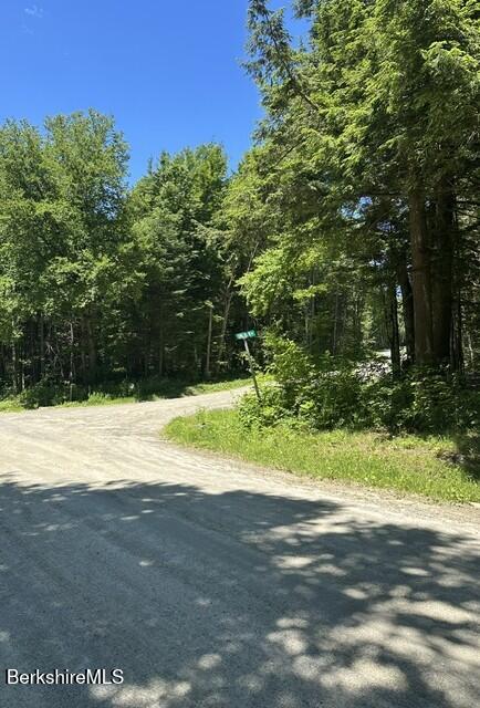 Lot108.1 Woodmere Road Becket, MA 01223 - Photo 5 of 11 Cross Road Long View Dr