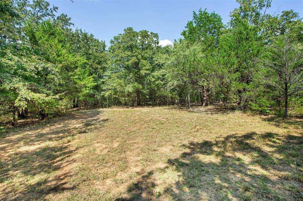 1793 Greer Road Sadler, TX 76264 - Photo 34 of 35 Clearing in the woods at back of property