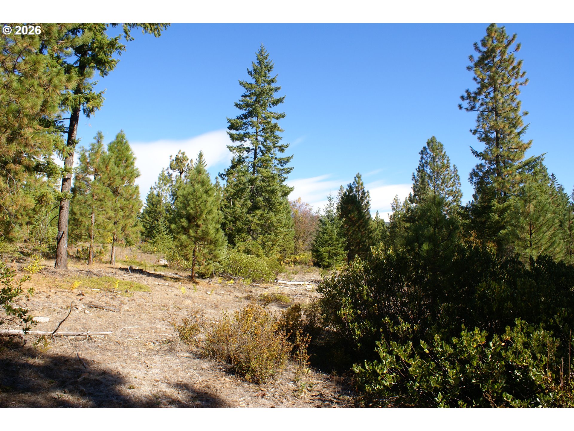 Cedar Valley Road Goldendale, WA 98620 - Photo 3 of 13 a view of a yard with a tree