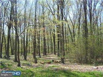 6249 Ferry Road Doylestown, PA 18902 - Photo 11 of 12 View