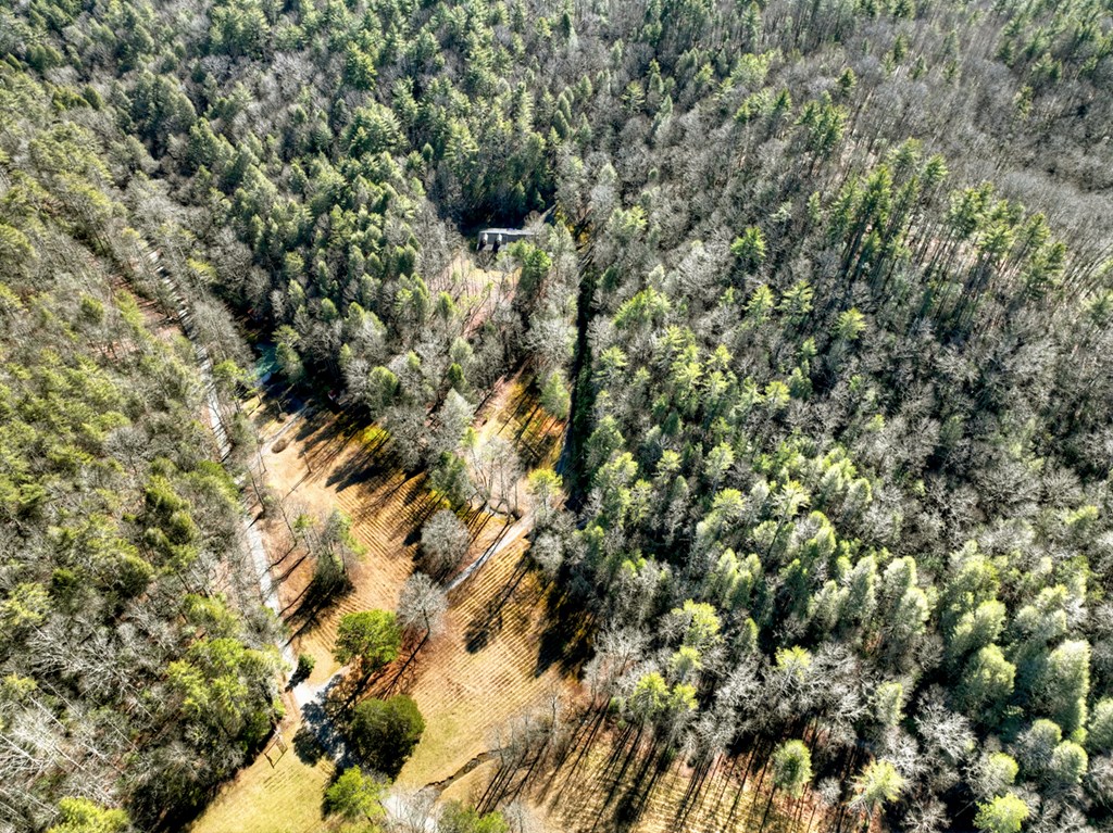 7233 Shakerag Road Ellijay, GA 30540 - Photo 101 of 117