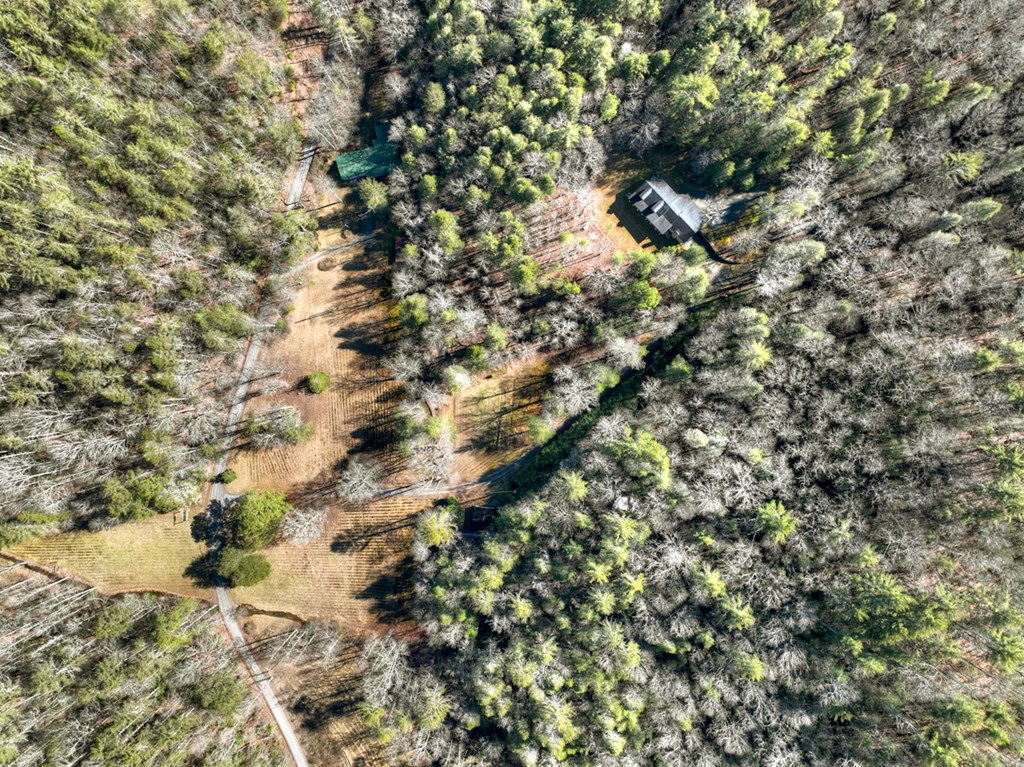 7233 Shakerag Road Ellijay, GA 30540 - Photo 102 of 117